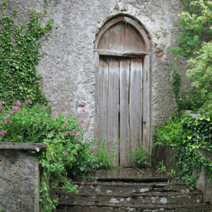 The Door to New Releases image