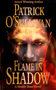 Flame in Shadow cover image
